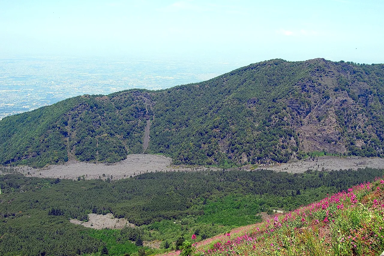 The grey lava flow of the 1944 eruption between woods and pink valerian on the slopes of Vesuvius